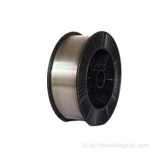 Thermal spray hindi kinakalawang na asero 316L wire arc spray